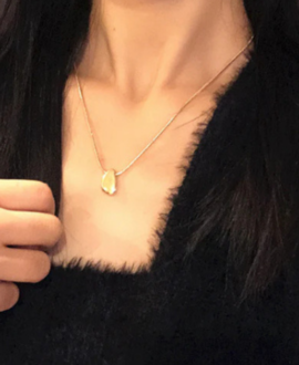 Womens Necklace With A Bean Pendant